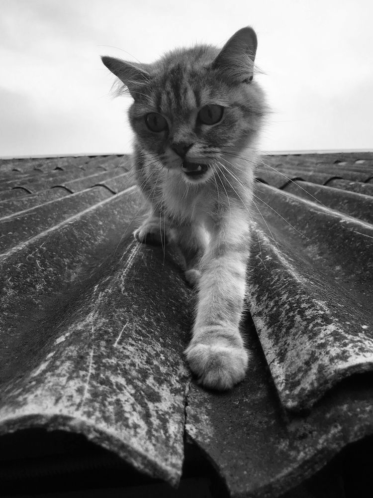 Photograph by Артемий