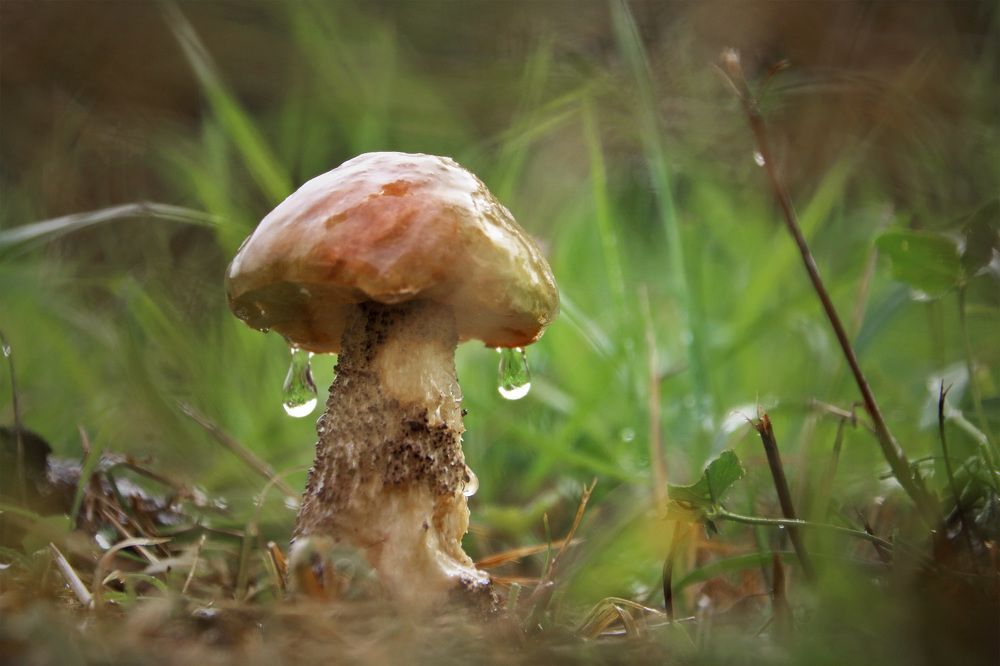 Photograph by Владимир Петрукович