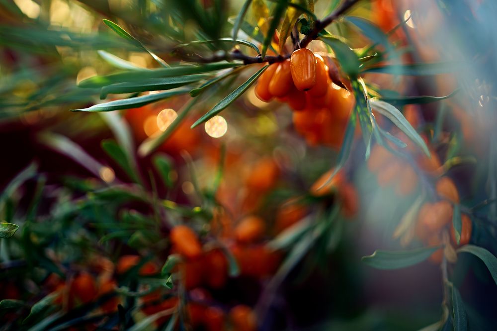 Photograph by Татьяна Клинникова