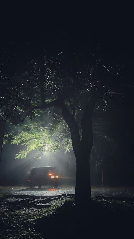 Фотография автора Maliyadewa Wadupola