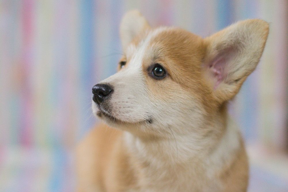 Photograph by Екатерина