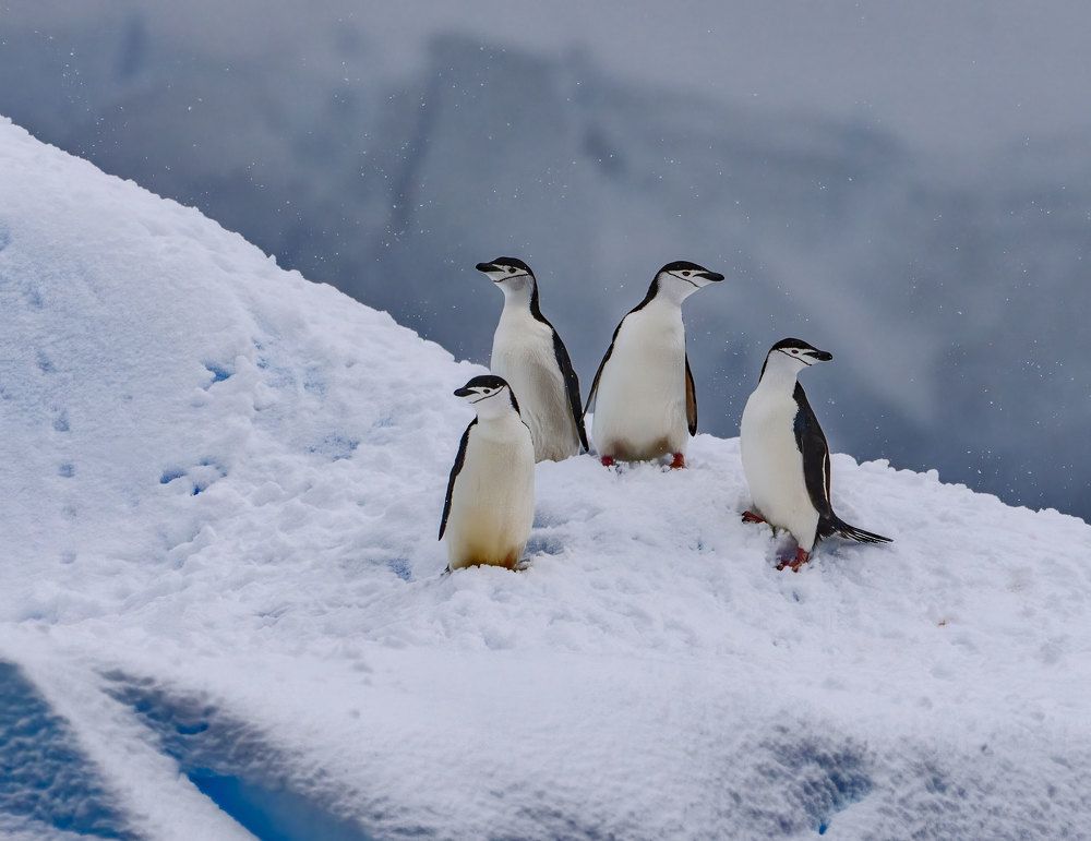 Фотография автора gagarin andrey