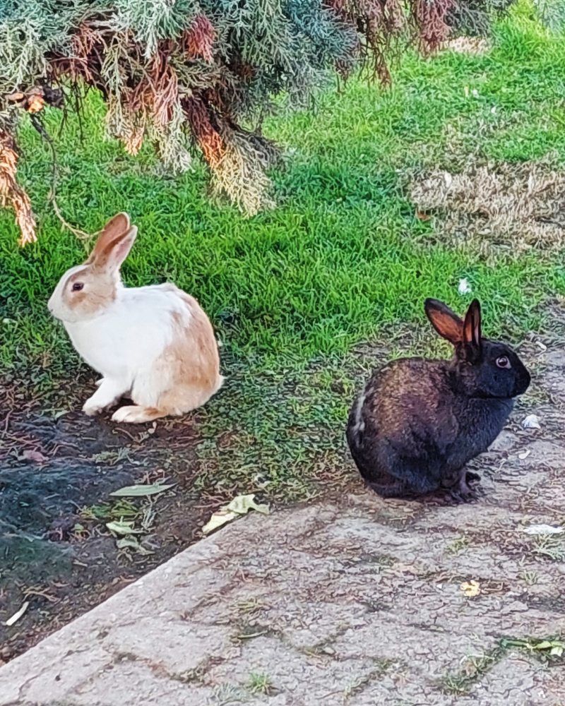 Photograph by Sedef Onum