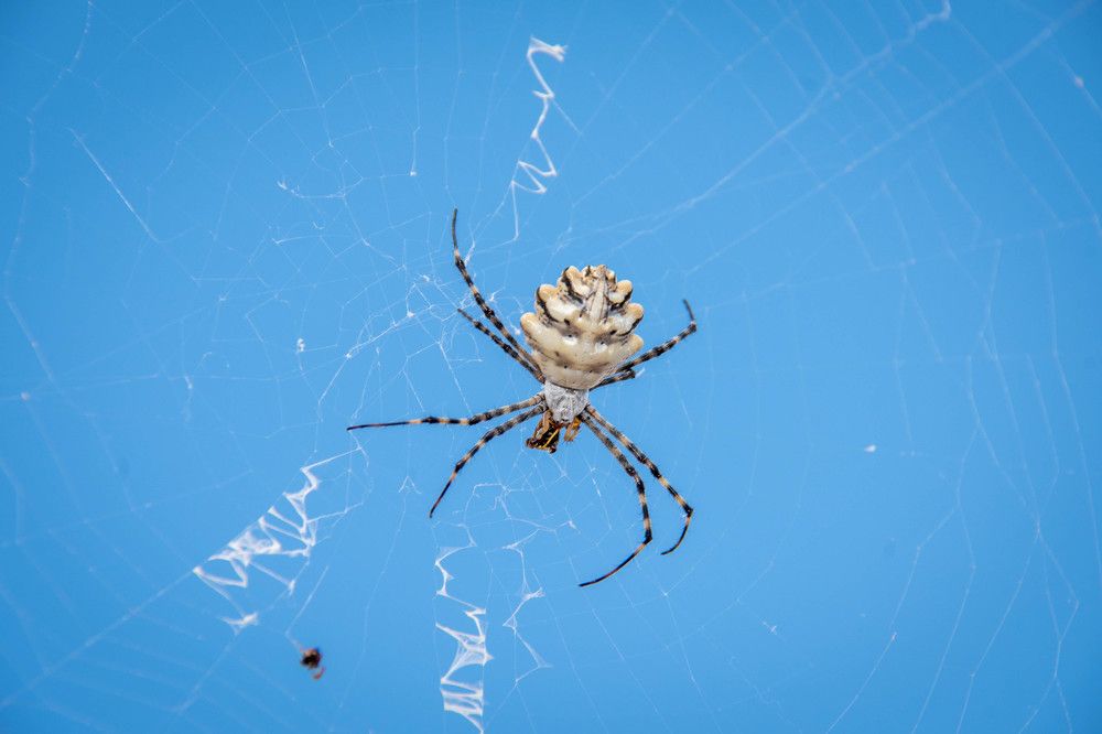 Фотография автора Мария