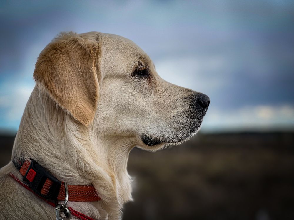 Photograph by Анжелика Александрова