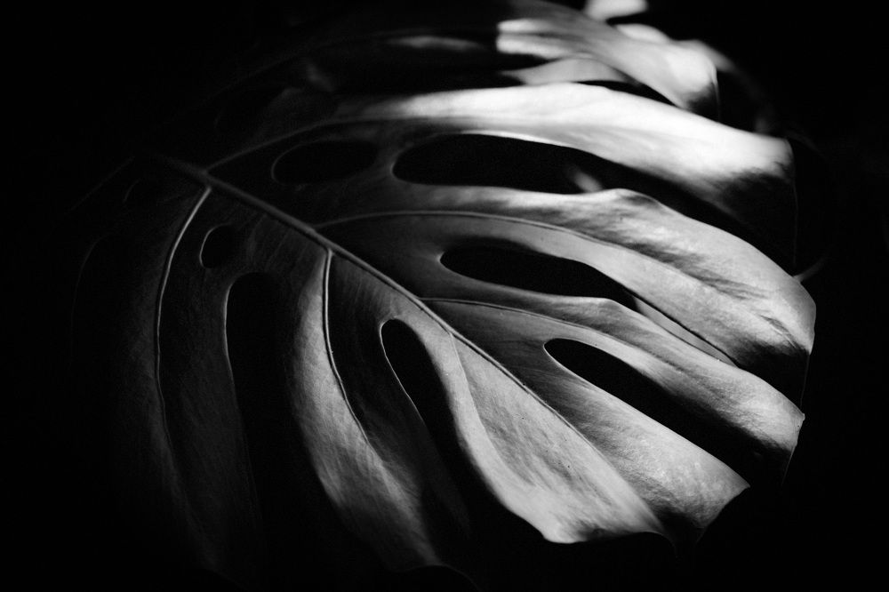 Photograph by Daria Osipova