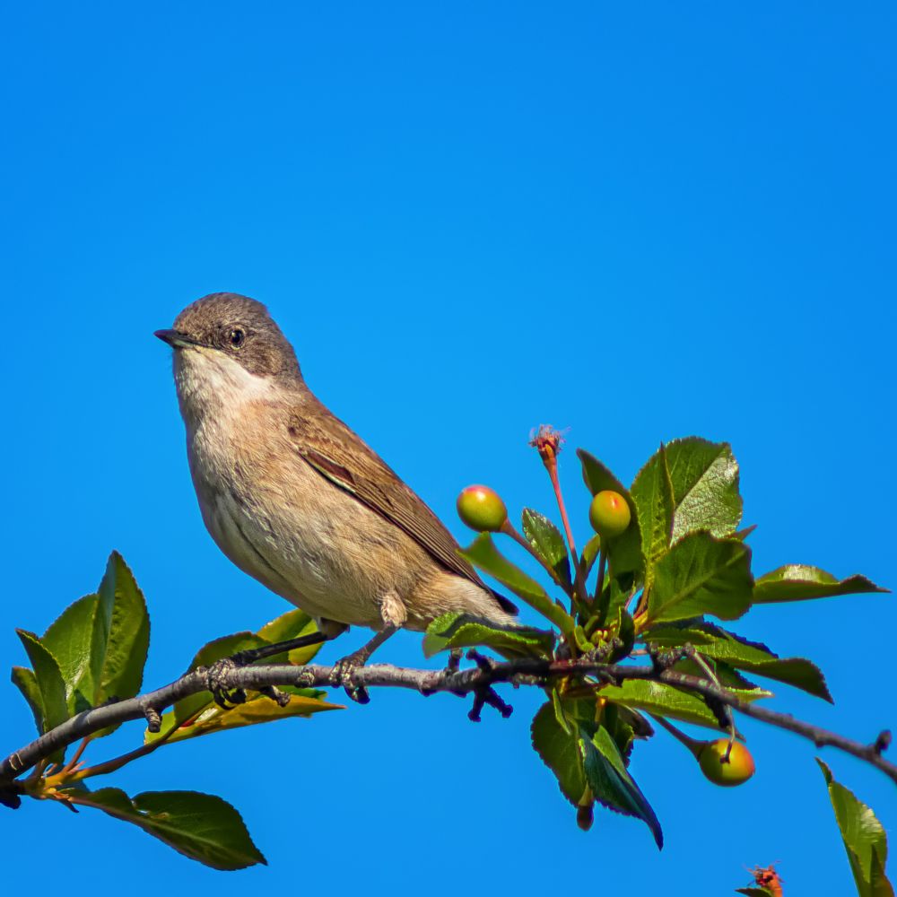 Photograph by Олег Белан