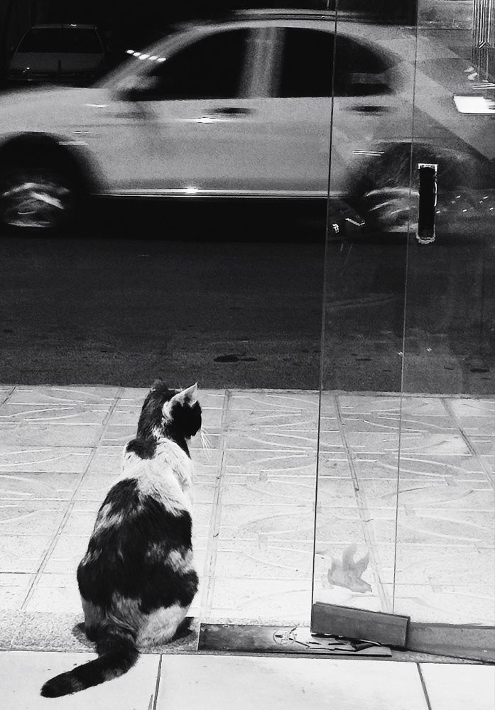 Photograph by ali asghar ahngari