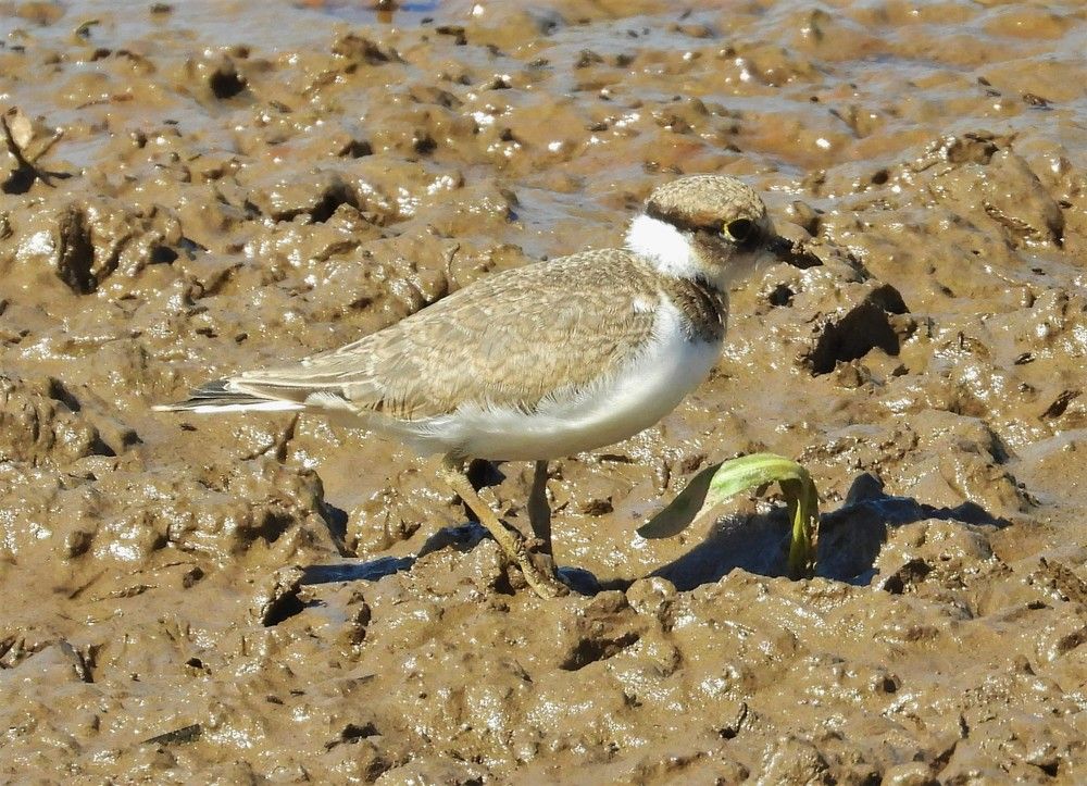 Photograph by Владимир Джерихов