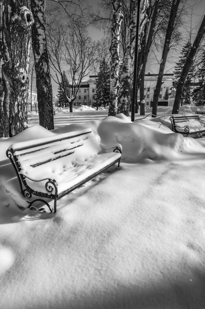 Фотография автора Андрей Арапов