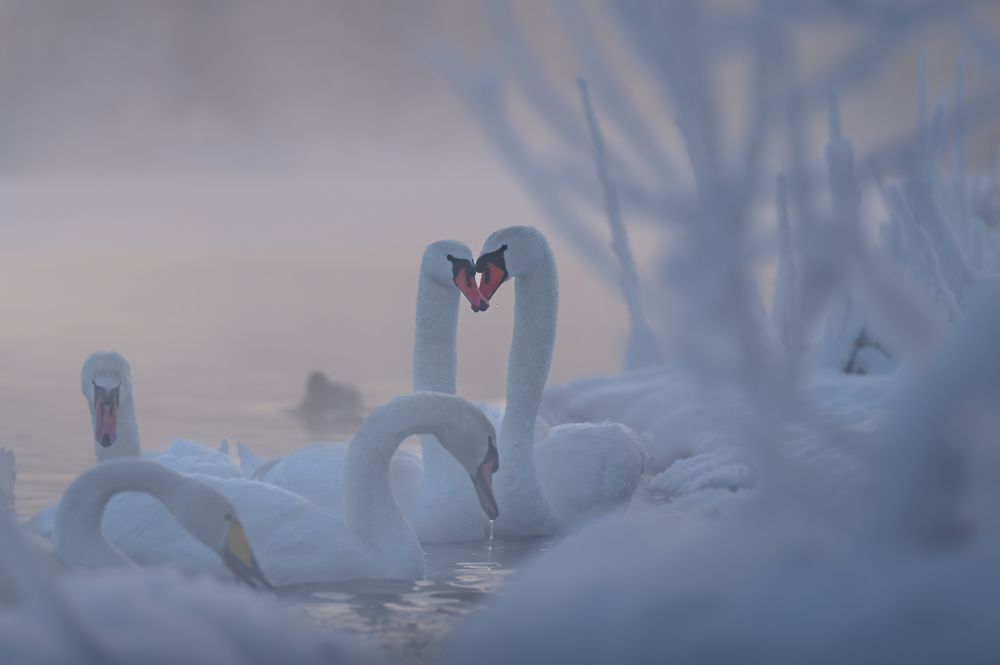 Photograph by Фабричный Роман