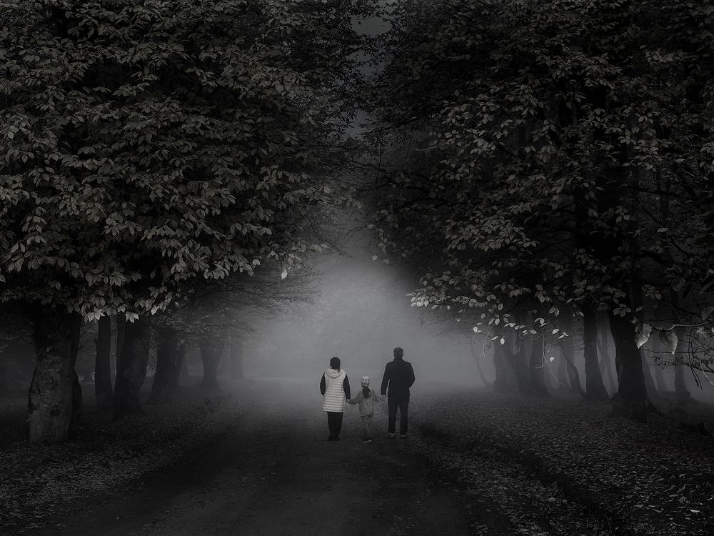 Фотография автора Mohsen Raeiszadeh