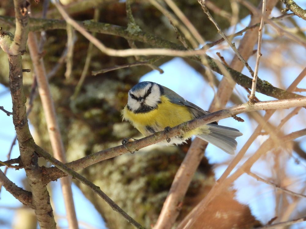 Photograph by Владимир Джерихов