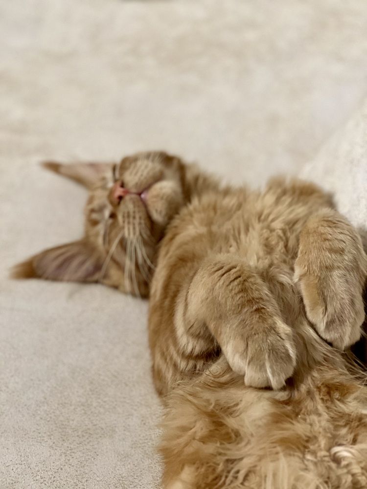 Фотография автора Мария