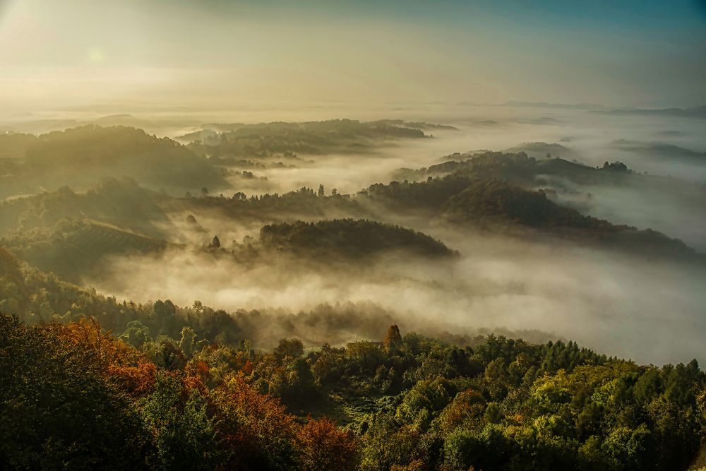 Photograph by Aleš Maučec
