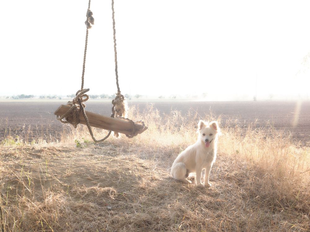 Photograph by Михаил Нестеренко