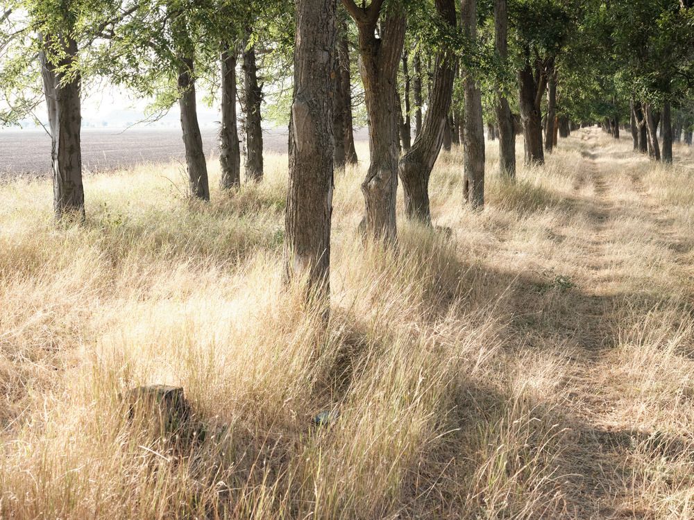 Photograph by Михаил Нестеренко