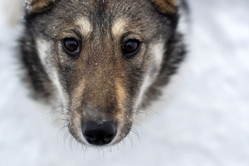 Photograph by Лина Матвеева