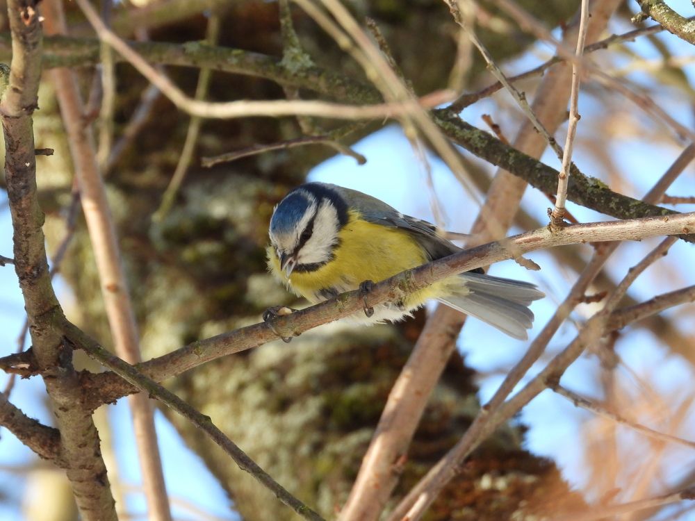 Photograph by Владимир Джерихов