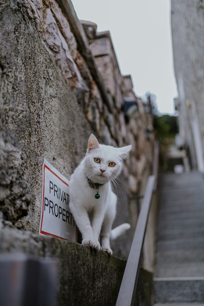 Photograph by Anastasia Savvina