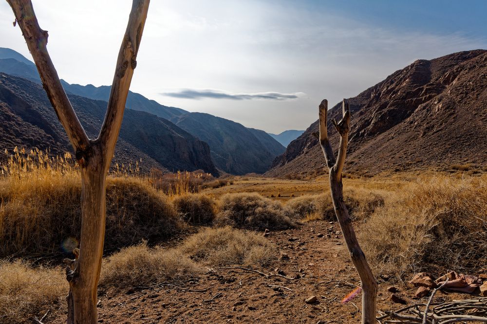 Photograph by Pozdnyakov Andrey