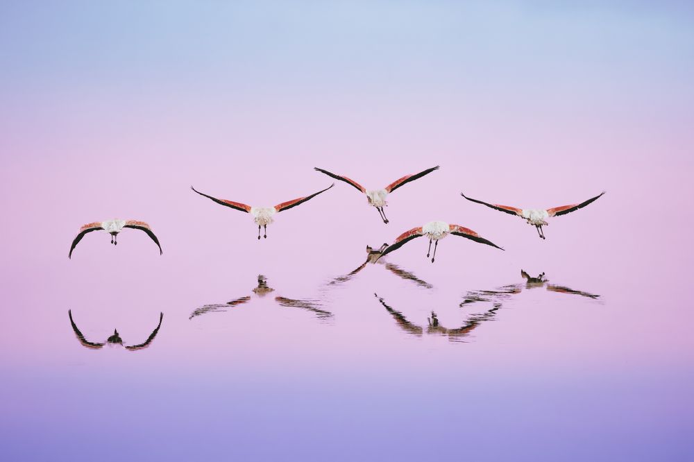 Photograph by Stamen Sotirov