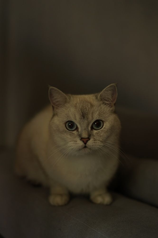 Photograph by Swetlana Brumm