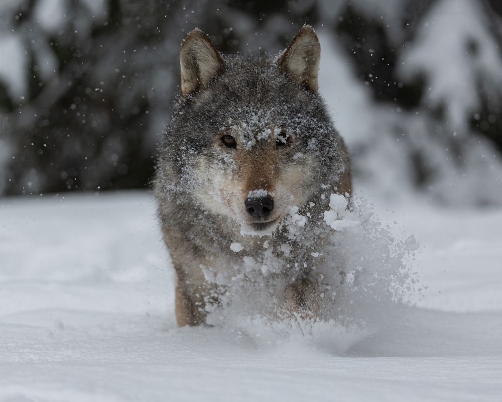 Photograph by Александр Ильин