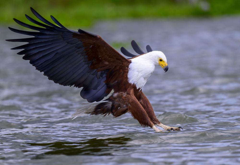 Photograph by Пупонин Сергей