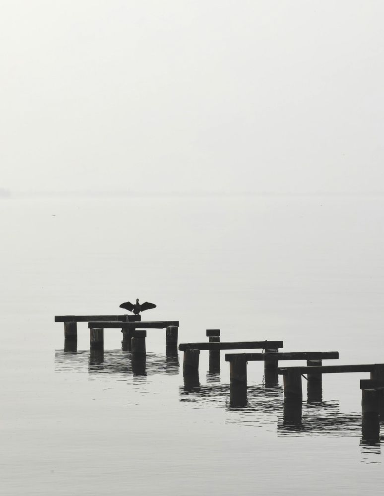 Photograph by Kristina Frizyuk