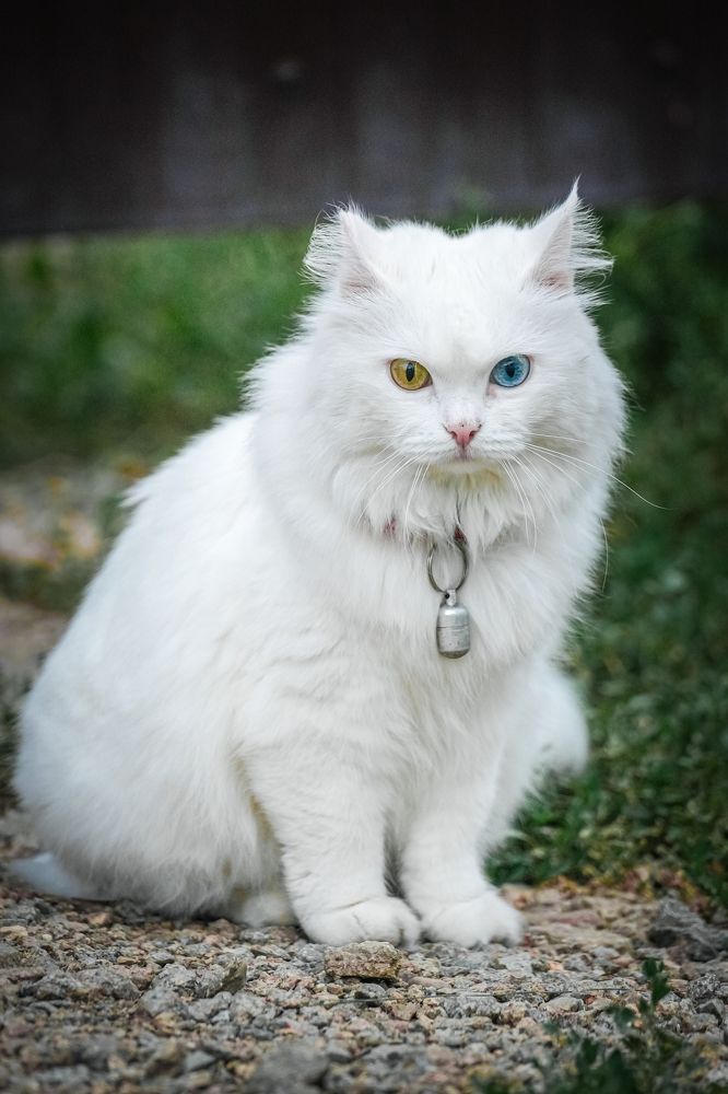 Photograph by Ольга Рачилова