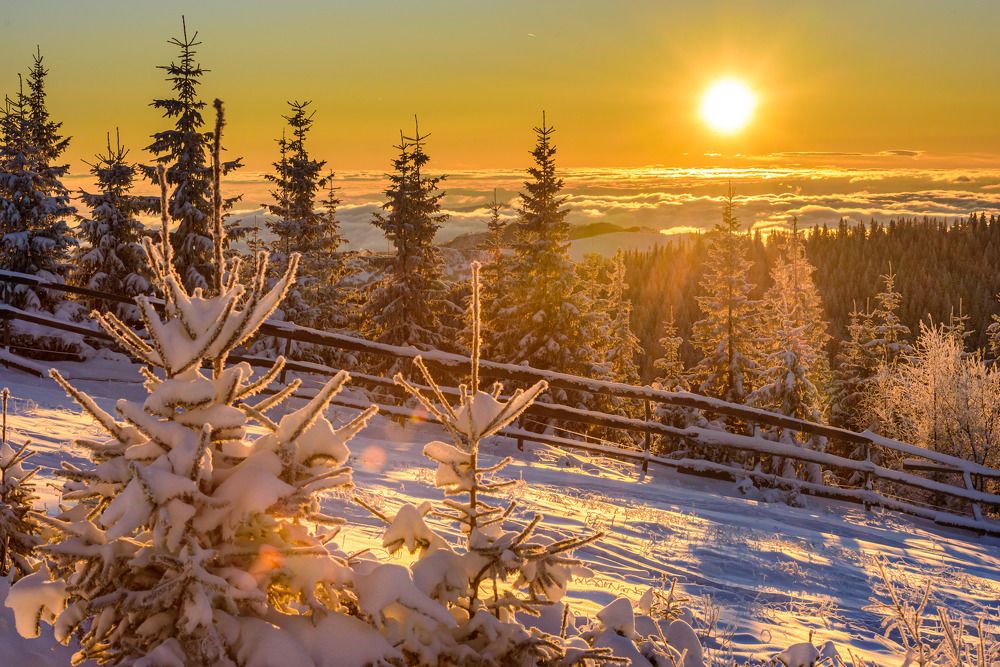 Photograph by levi bagy