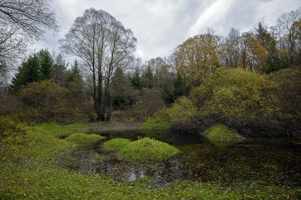 Photograph by Евгений