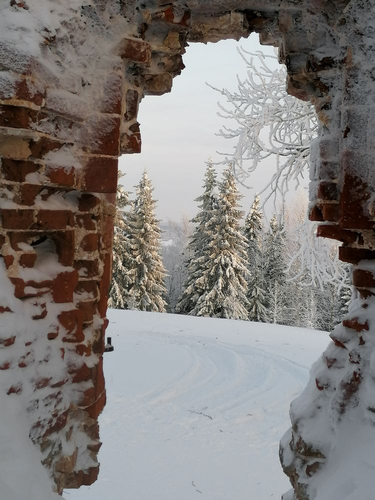 Photograph by Надежда Тимакова
