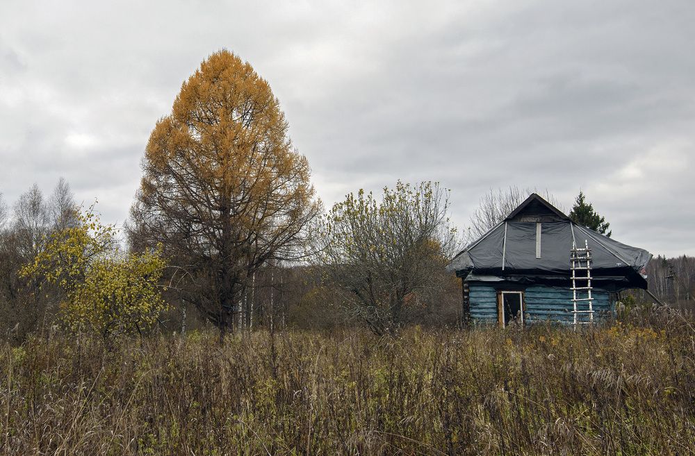 Photograph by Евгений