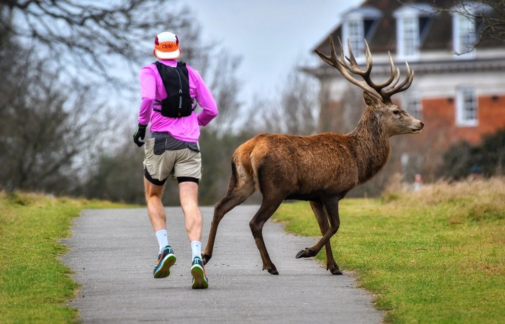 Photograph by VINAYAK VINOJ