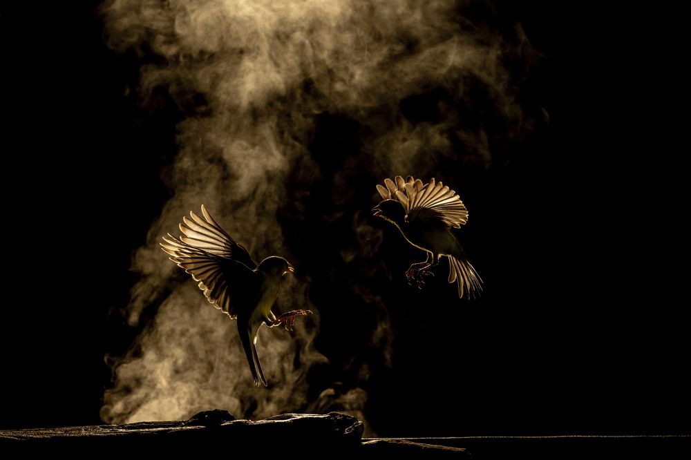 Photograph by Luisa Lynch