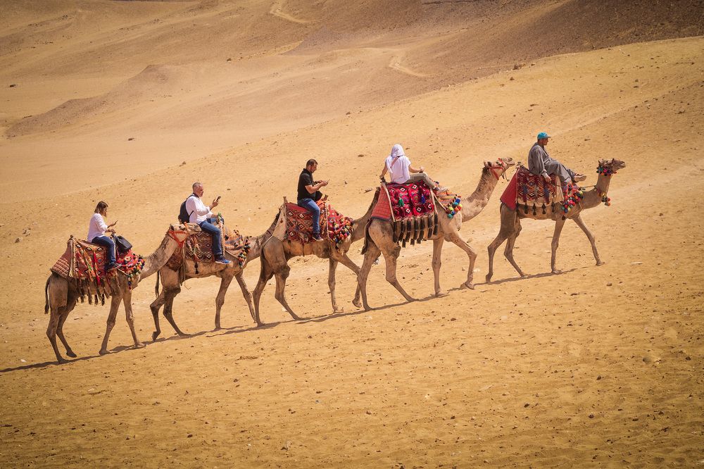 Photograph by Elena Levi