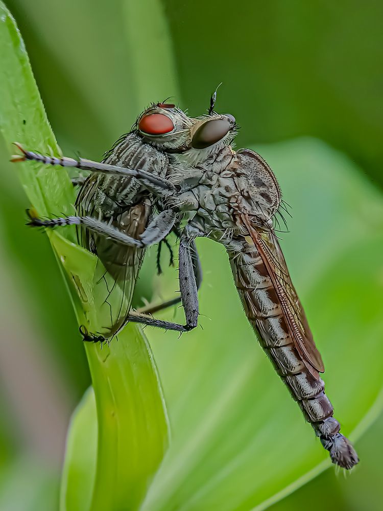 Photograph by Rahul Dey Bittu