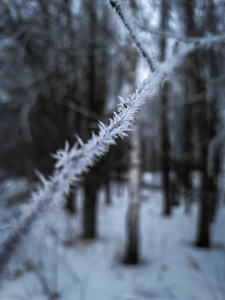 Photograph by Наталья Козырицкая