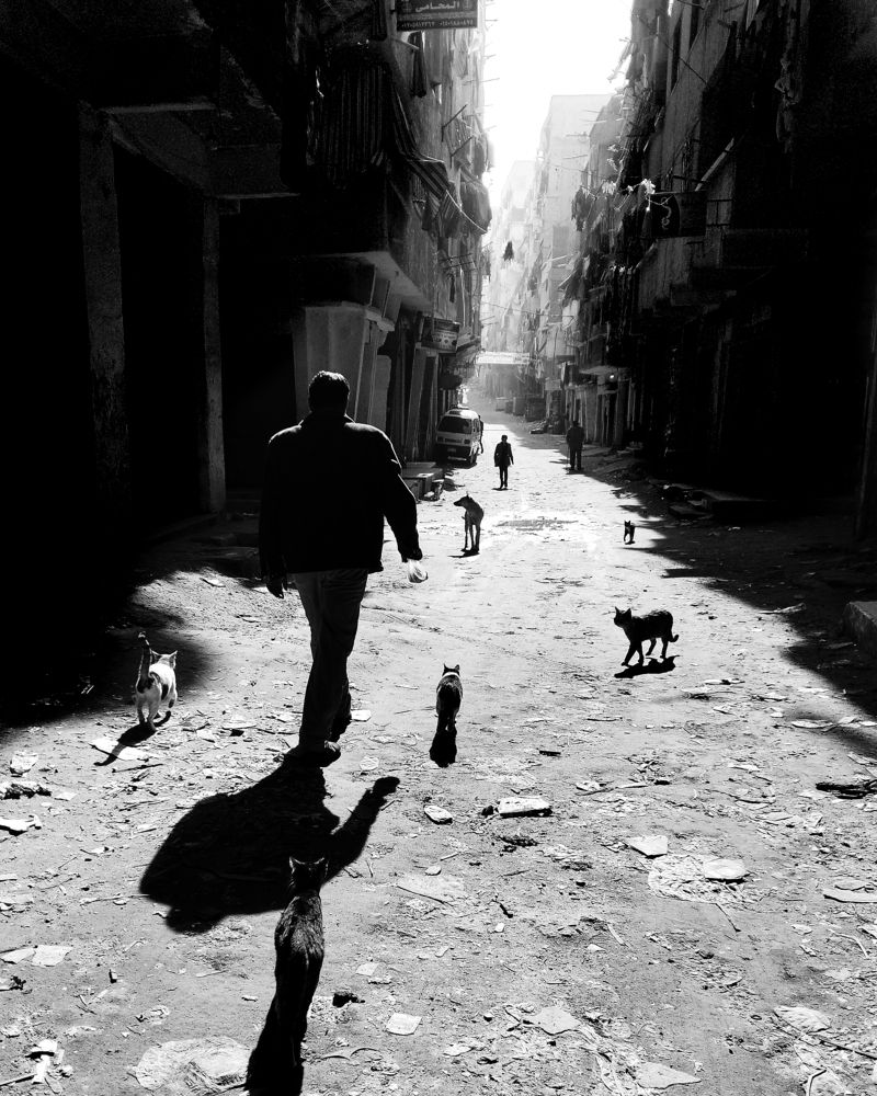 Фотография автора Ahmed Flex