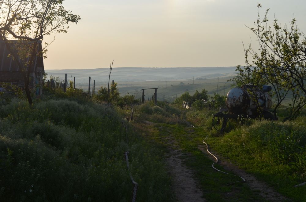 Photograph by Дмитрий Сало