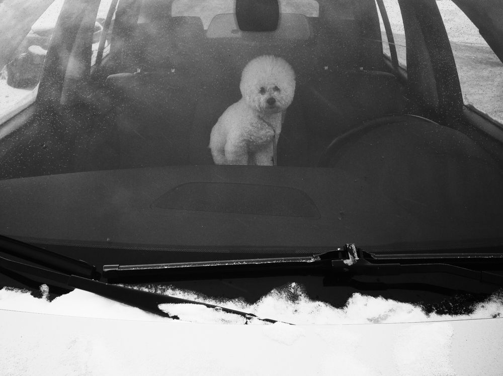 Photograph by Алексей Серпов