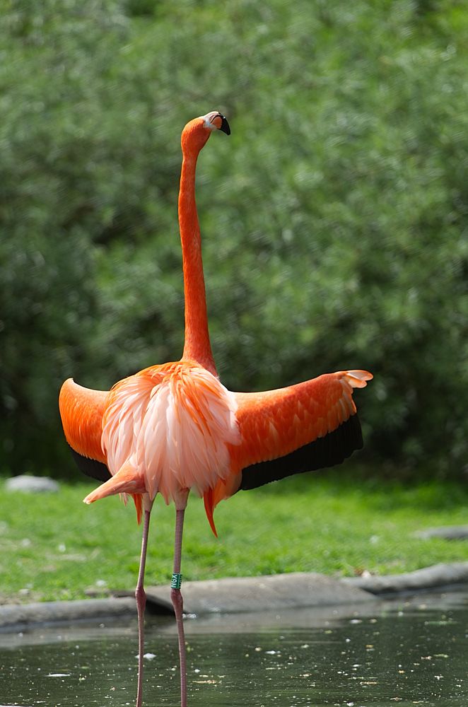 Фотография автора Андрей Неденко