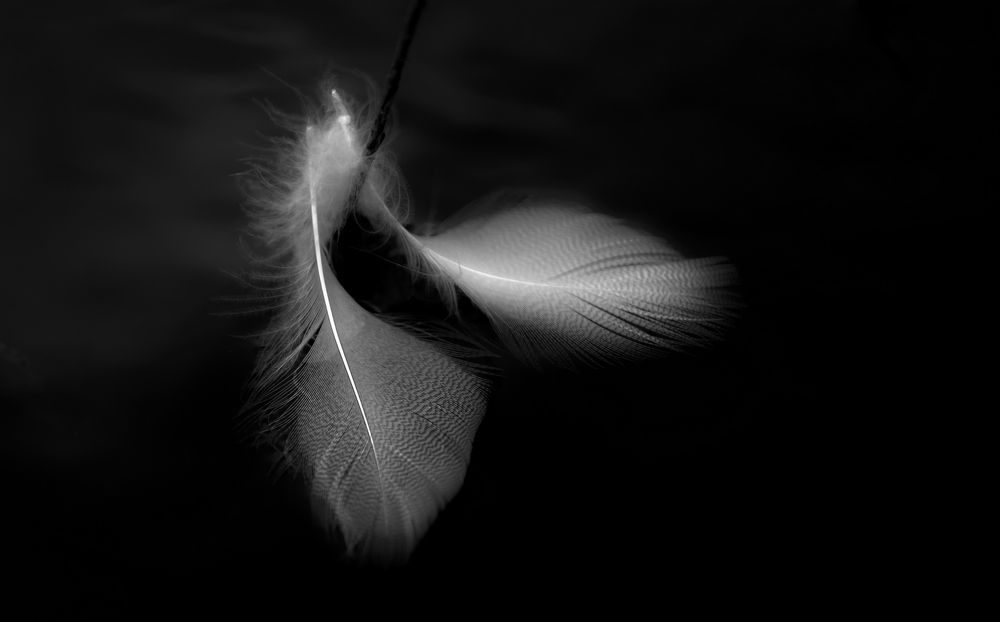 Photograph by Виктор Рыков