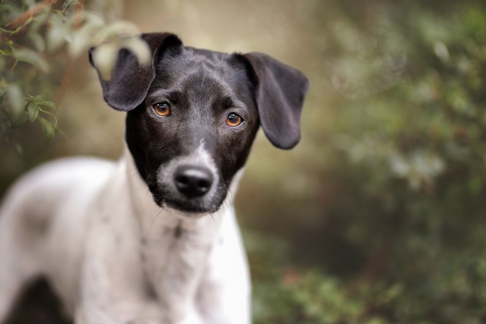 Photograph by Leticia Hernandez