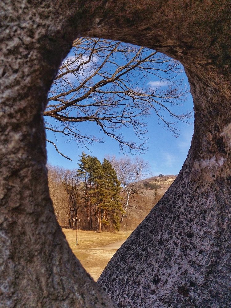 Photograph by Эльза Трисантович