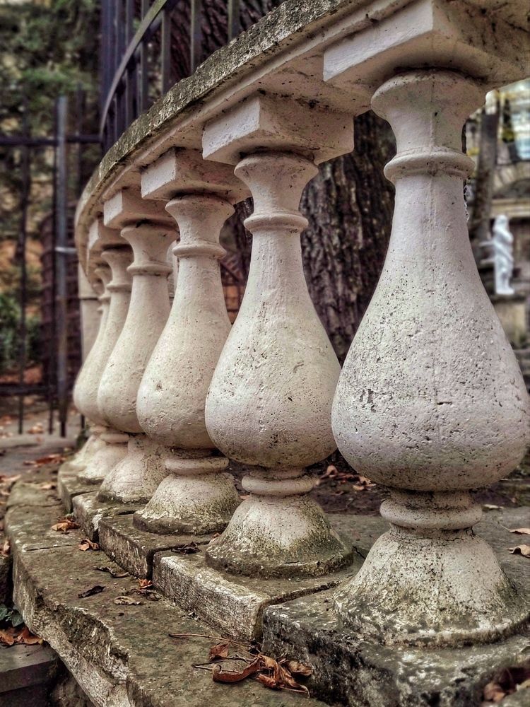 Photograph by Эльза Трисантович