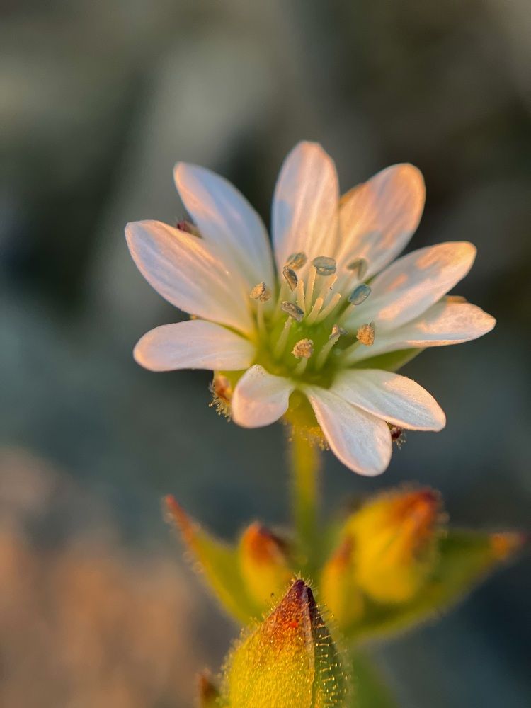 Photograph by Yulia Zhilinskaya