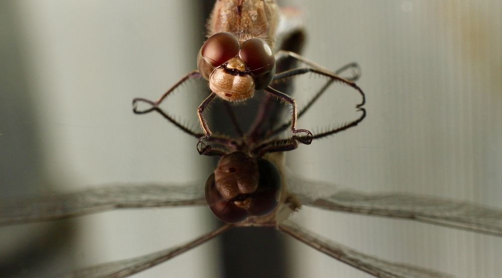 Photograph by Александр